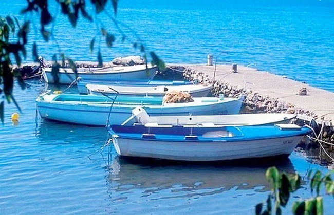 Apartments Bucic - Photo 6