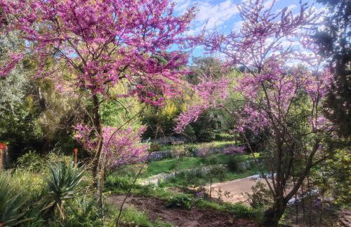 Domaine des Petites Sœurs à 800m du centre historique avec 5200m2 de parc arboré - Foto 15