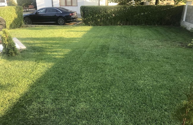 Generaator House - Photo 38