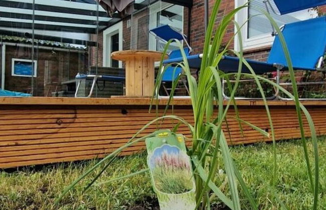 Beach Chair No.1 Comfortable Vacation Home - Foto 22