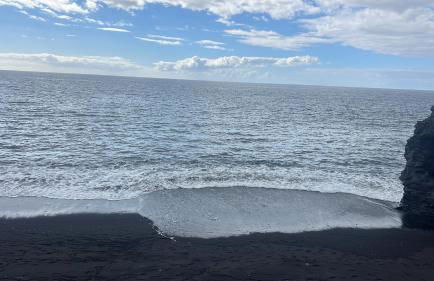 Delfin Playa - Foto 2