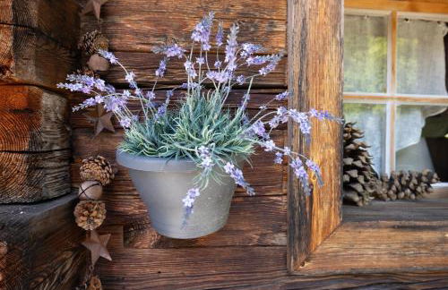 Chalet montagne Spa - Foto 18