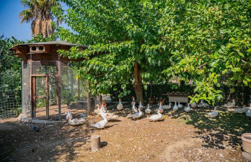 Villa Rita Taormina - Foto 52