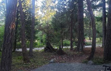 Blissful Solitude Cottage - Foto 39