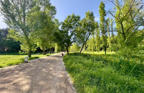 Olimpia Villa Pamphili - Centro Storico di Roma - Gianicolo Trastevere San Pietro - Photo 34