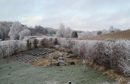 Czarnydomek - Foto 32