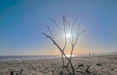 Royal Villa - Ocean View - Heated Pools - SEASCAPE'S BEST 1 BEDROOM - 3 BEDS - End Unit - Foto 36