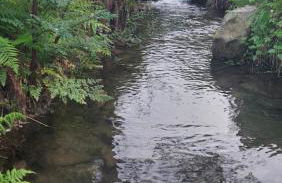 Moinho do Formigal - Foto 47