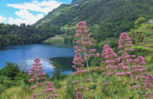 Casa vacanze "INCANTO DEL LAGO" - Foto 39