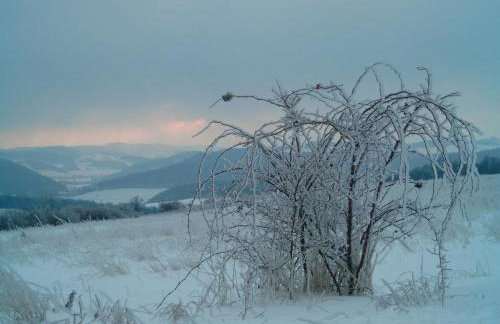 Michałówka Michaelhof - Foto 25