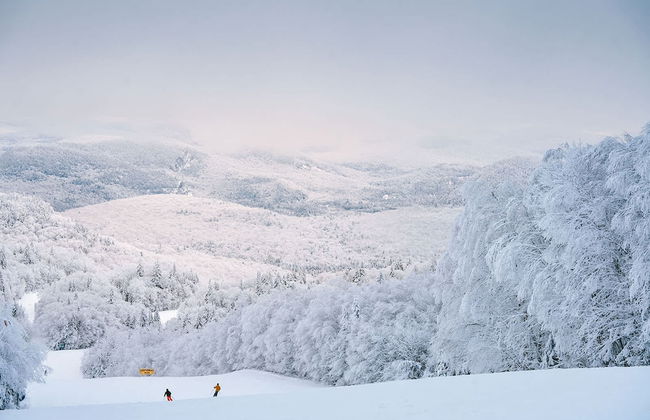 Le M Sangeai Citq 300267 - Foto 22