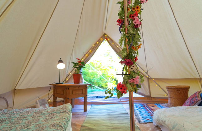 Hapus Hideaway Retreat Site, Sleeps 29 - Foto 2