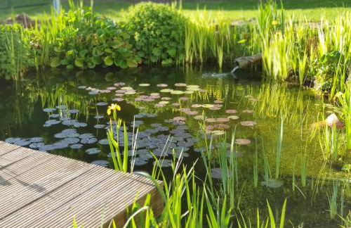 Ferienwohnung Schwalbennest - Foto 33