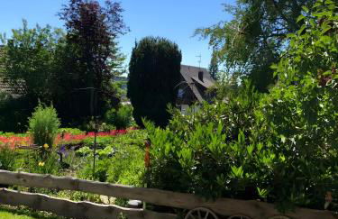 Haus Jurisch - Foto 18