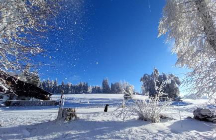 Berg-Panorama-Ferienwohnungen Gut-Lichtenau - Foto 77