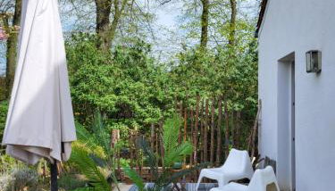 Ferienhaus an der Allee - Photo 2