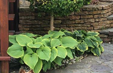 Mazury na Śląsku - Dom Wakacyjny z basenem - Foto 48