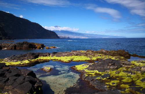 Apartment on the sea - Foto 37