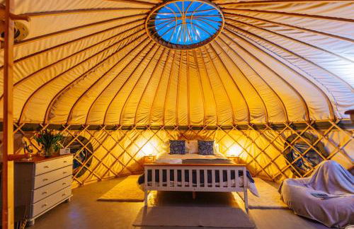 Orchard Yurt Allerford - Photo 5