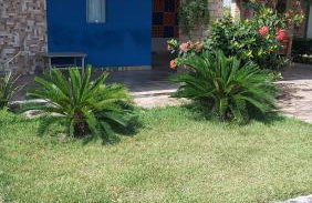 Casa em condominio com piscina na beira do rio Alegre - Photo 5