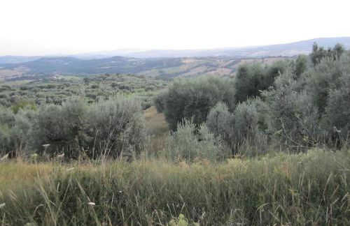 Agriturismo Casa Fibbianello - Foto 65