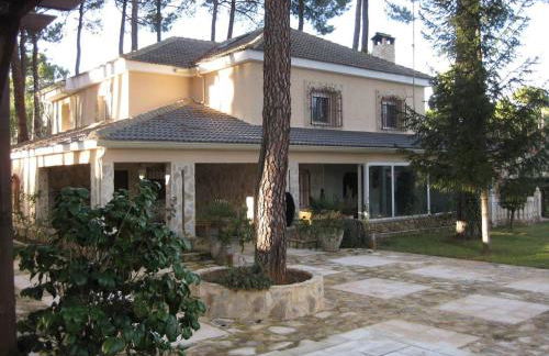 El Chalet del Pinar - Foto 1