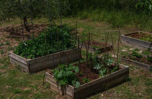 House Madrino - Foto 65