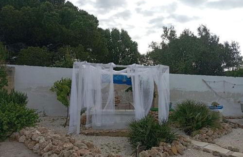 Tenuta L'uliveto - Foto 57