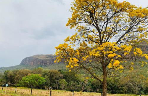 Chale Vale das Cachoeiras - Foto 50