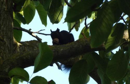 Tenuta del Viandante - Foto 30