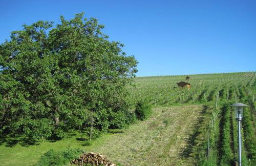Haus am Weinberg - Foto 15