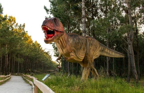 Casa d'Avó - Foto 22