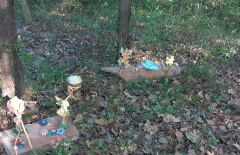 I Tre Lecci - Photo 45