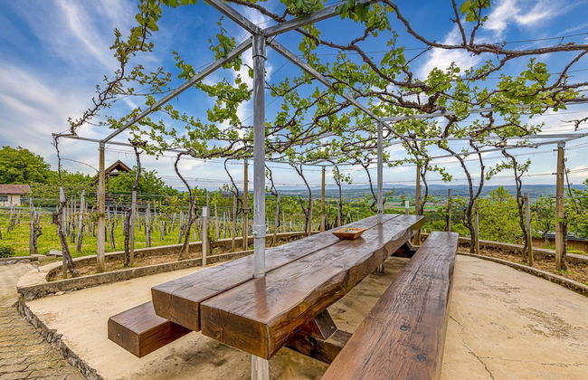 Vineyard Homestead Vrtin - Foto 29