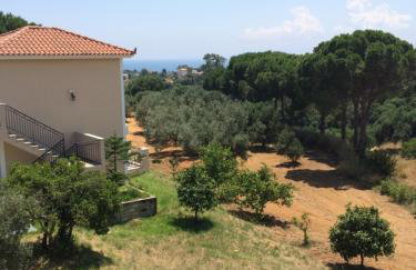 Koukounaries Studios - Foto 19