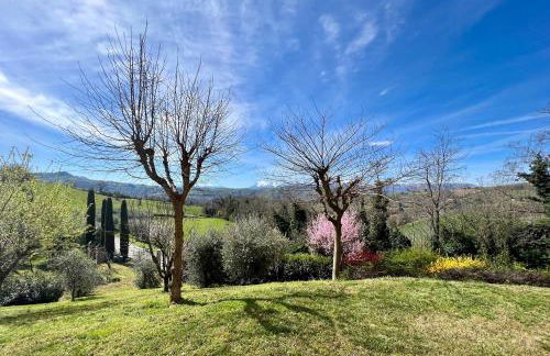 casa mimose rosa II - Foto 26