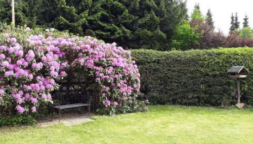 Holiday Home Caro by Interhome - Foto 5