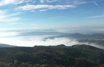 Alojamento Rural de Covelas - Foto 24