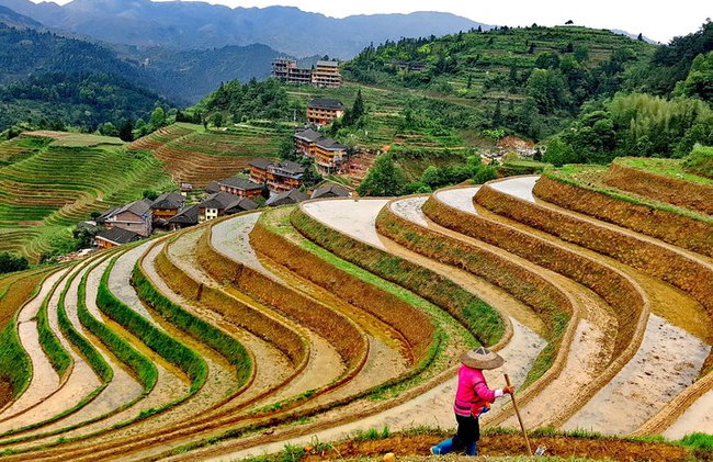 Tour privato di 11 giorni a Shanghai, Chongqing, fiume Yangtze, Zhangjiajie e Guilin - Foto 5
