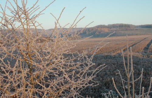 Natur und Ruhe - für Ruhe suchenden - Photo 17