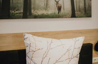 Stadt Land Fluss New Apartments by Zollhaus - Photo 9