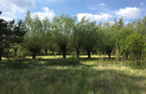 Agroturystyka Kobylnica nad Wisłą - Foto 67