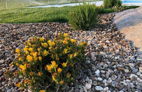 Quinta BEMBOA Turismo Espaço Rural - Foto 49