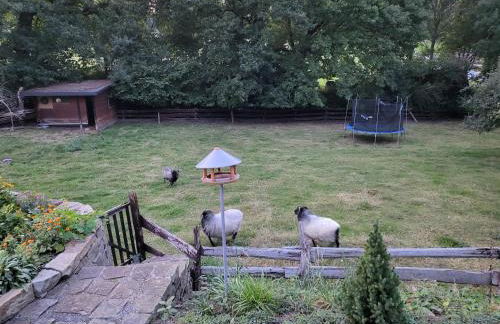 Souterrainwohnung im Grünen - Foto 38