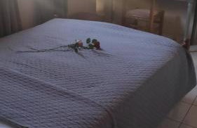 Olive holiday home - Photo 23