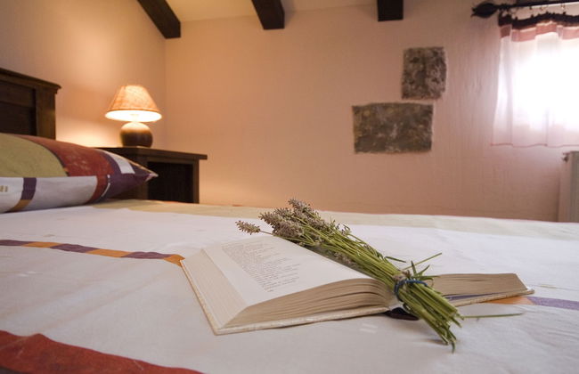 Villa Asseria - Foto 16