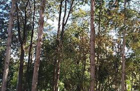 CHALÉ DO VALE - EXCLUSIVIDADE E CONFORTO!! - Foto 37