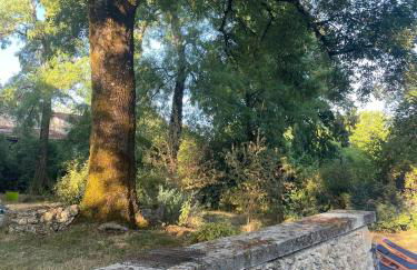 Forest House in Perigord Vert - Foto 13