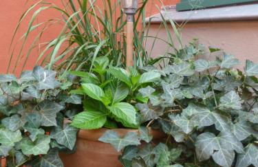 Altes Fischerhaus - Foto 33