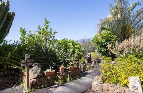 Live Candelaria Araya Muy mia - Foto 58